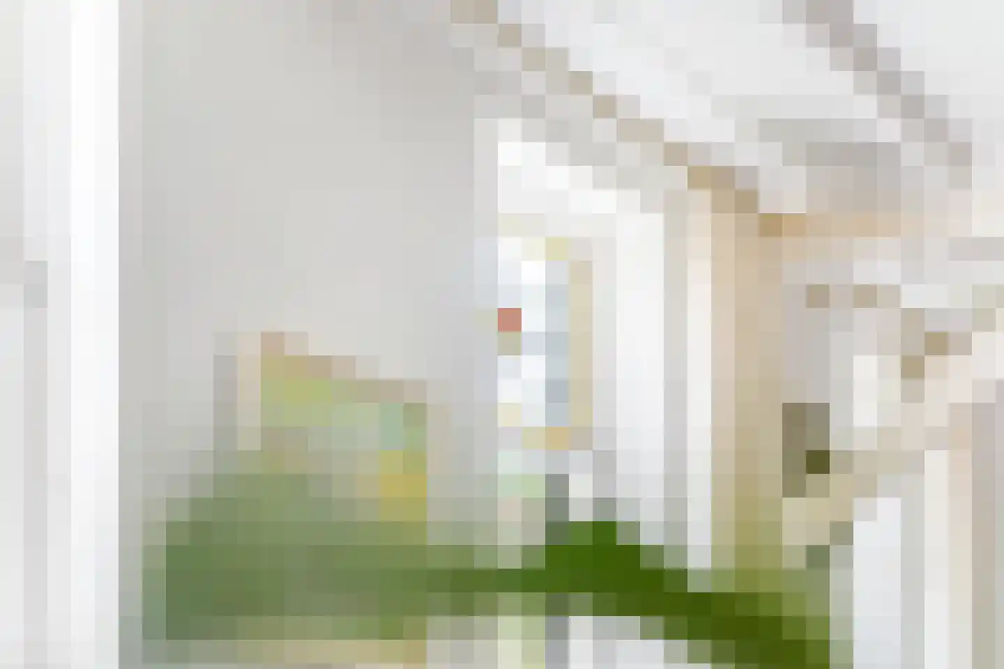 Hogeweg 178 Amersfoort thumbnail 46