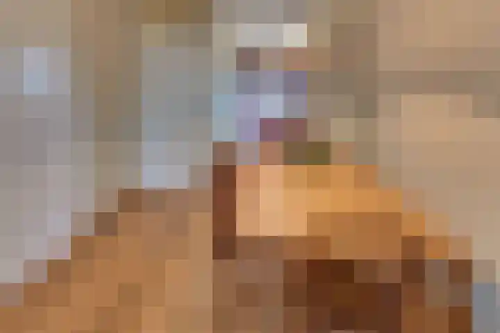 Hogeweg 18 Harderwijk thumbnail 18