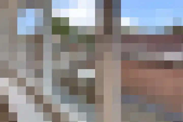 Hogeweg 18 Harderwijk thumbnail 31