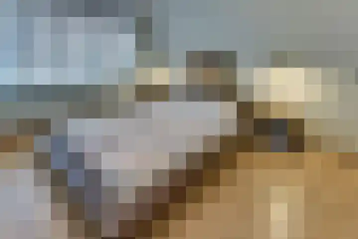Hogeweg 18 Harderwijk thumbnail 35