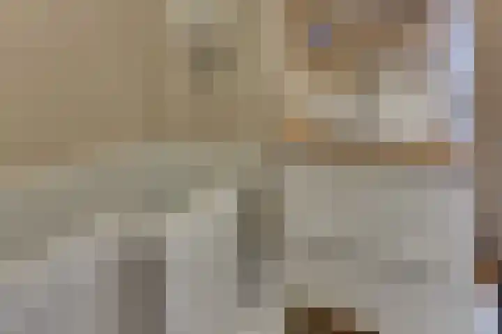 Hogeweg 18 Harderwijk thumbnail 42