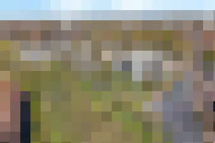 Hogeweg 19 E Amersfoort thumbnail 22
