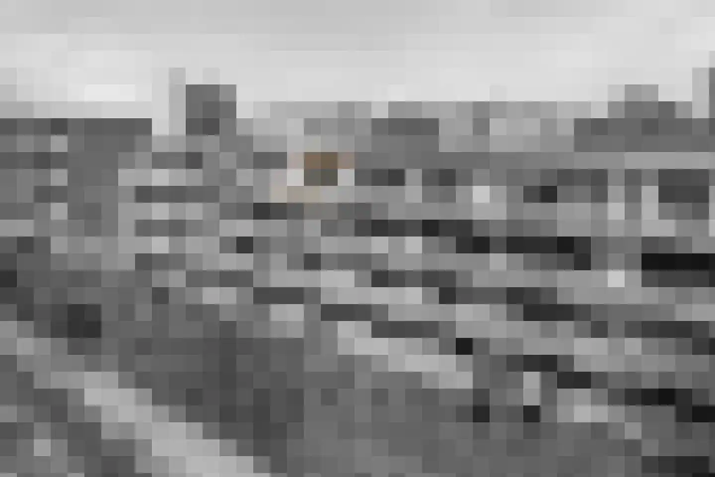 Hogeweg 19 E Amersfoort thumbnail 23