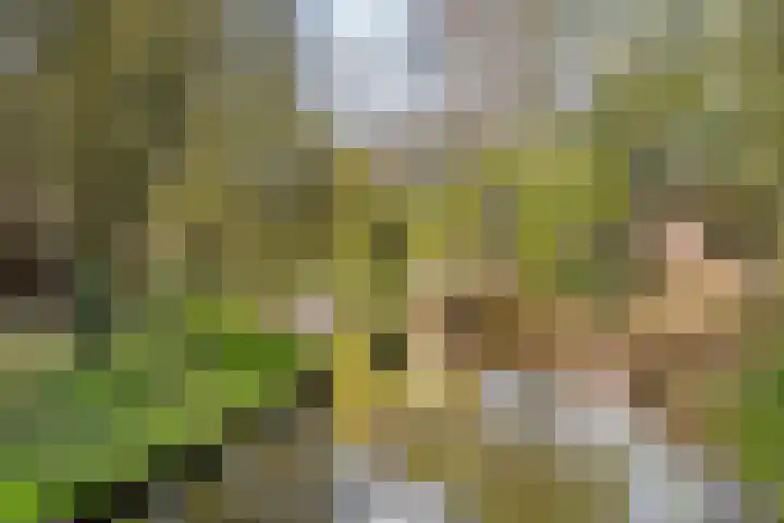 Hogeweg 19 E Amersfoort thumbnail 27