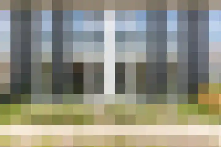Hogeweg 2 a Simonshaven thumbnail 24