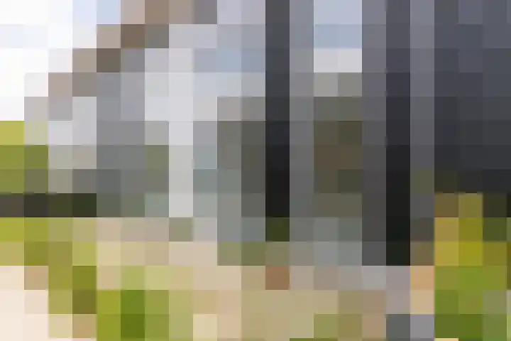 Hogeweg 2 a Simonshaven thumbnail 26