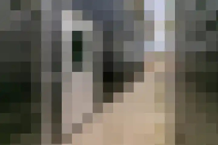 Hogeweg 2 a Simonshaven thumbnail 5