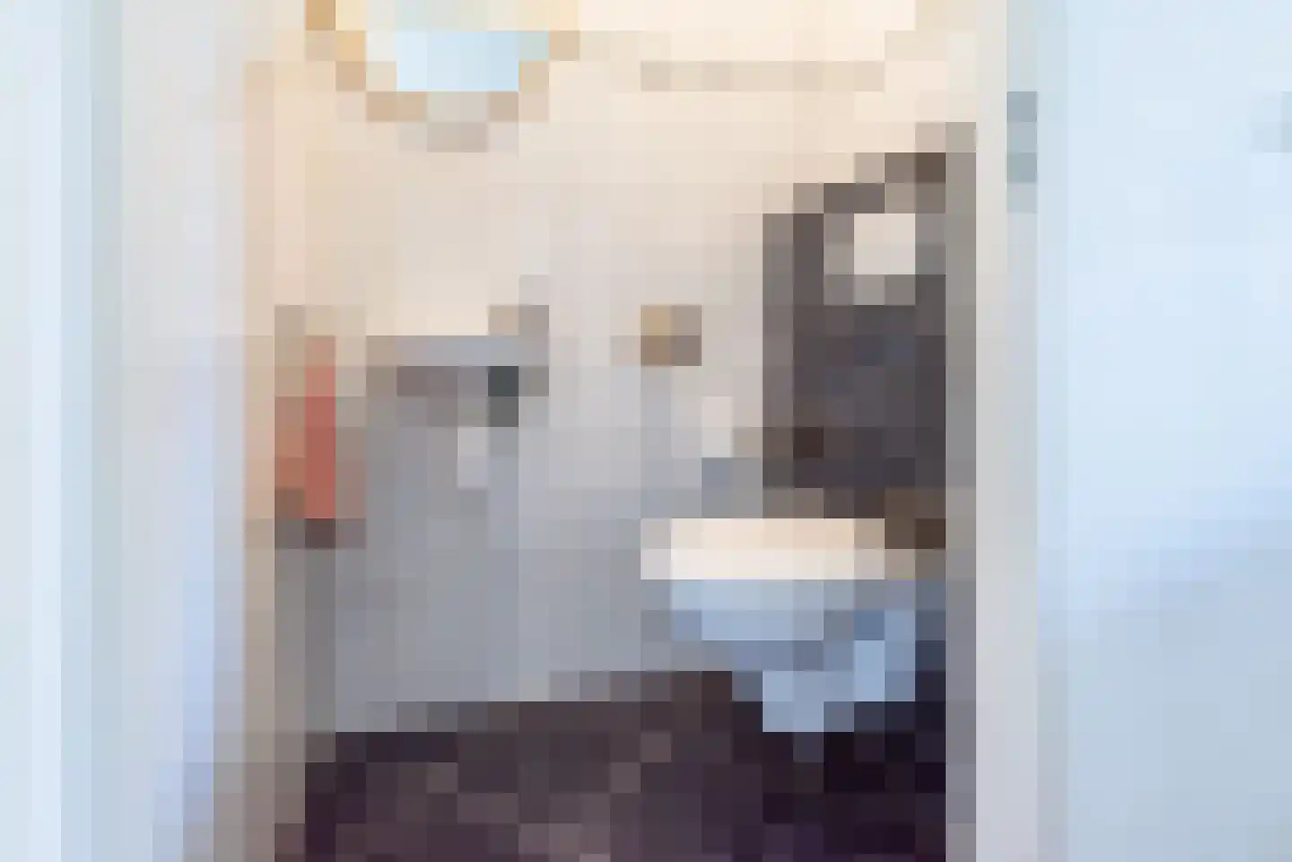 Hogeweg 2 C Ulft thumbnail 17