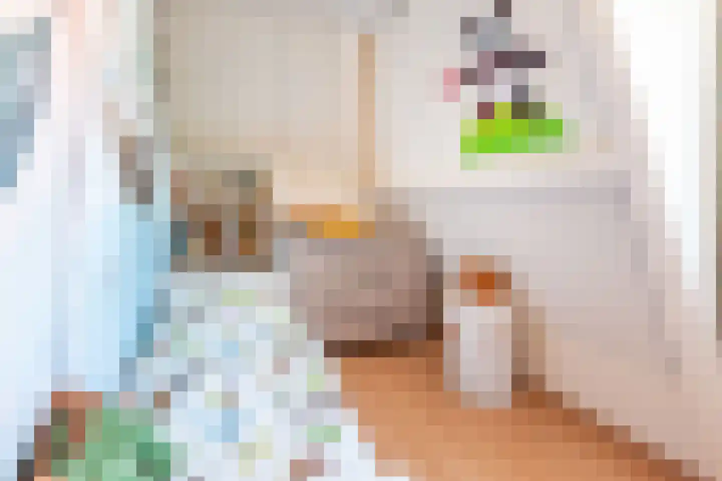 Hogeweg 2 C Ulft thumbnail 25