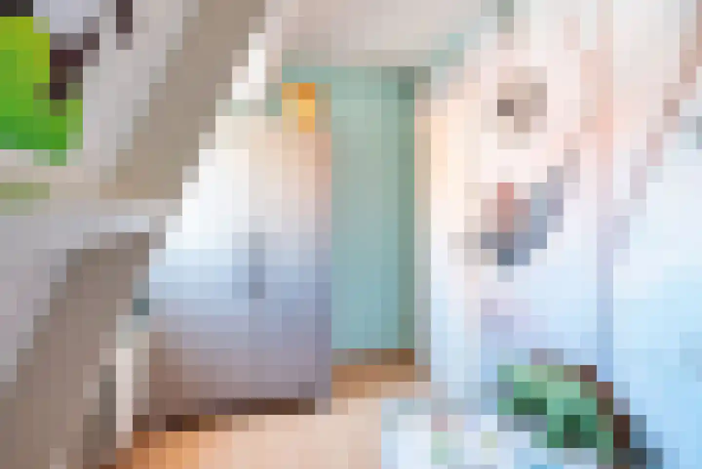Hogeweg 2 C Ulft thumbnail 26