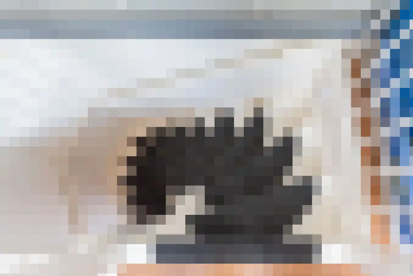 Hogeweg 2 C Ulft thumbnail 29