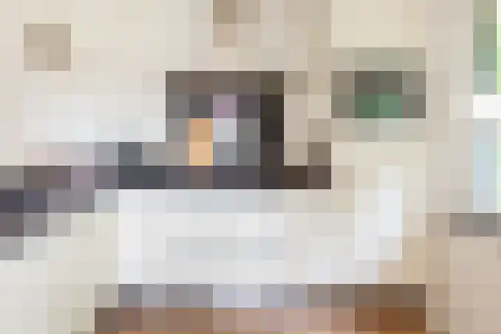Hogeweg 2 F Ulft thumbnail 15