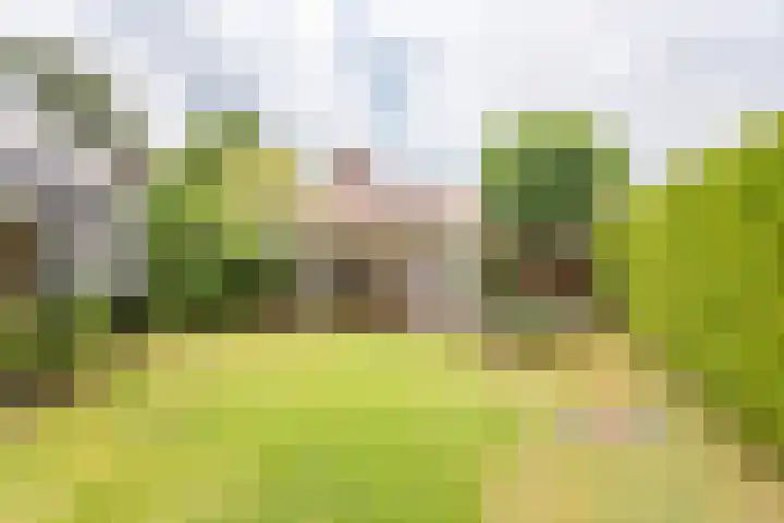 Hogeweg 2 F Ulft thumbnail 38