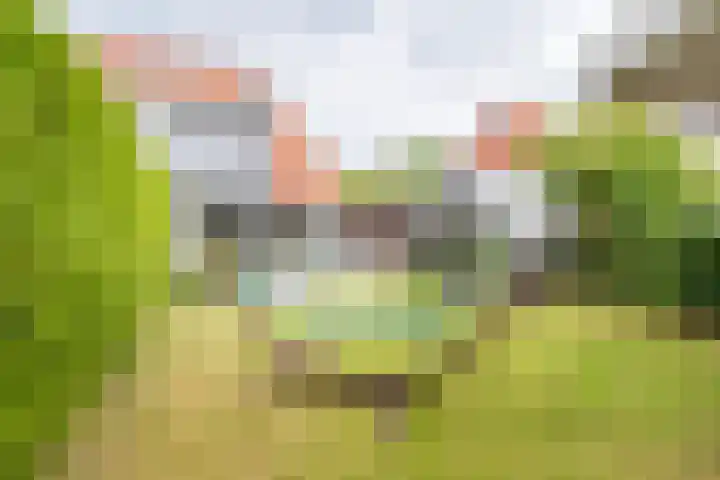 Hogeweg 2 F Ulft thumbnail 4