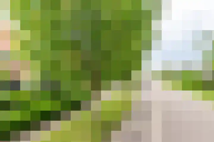 Hogeweg 2 F Ulft thumbnail 44