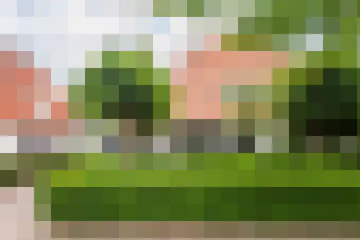 Hogeweg 2 F Ulft thumbnail 5