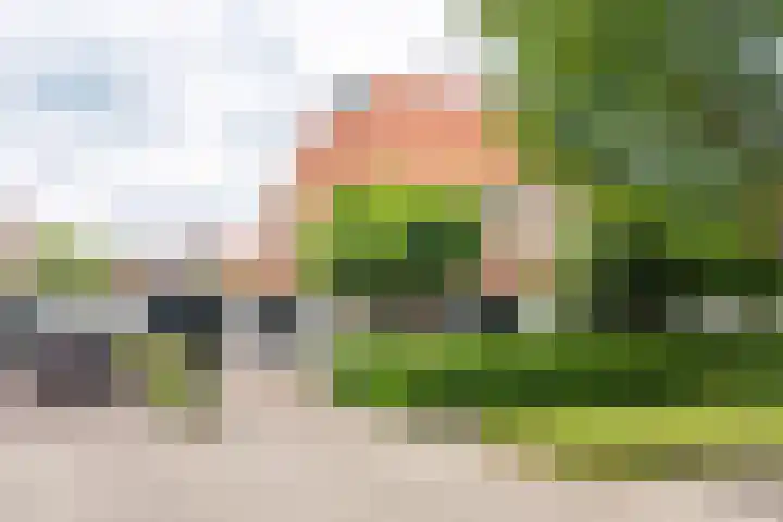 Hogeweg 2 F Ulft thumbnail 50