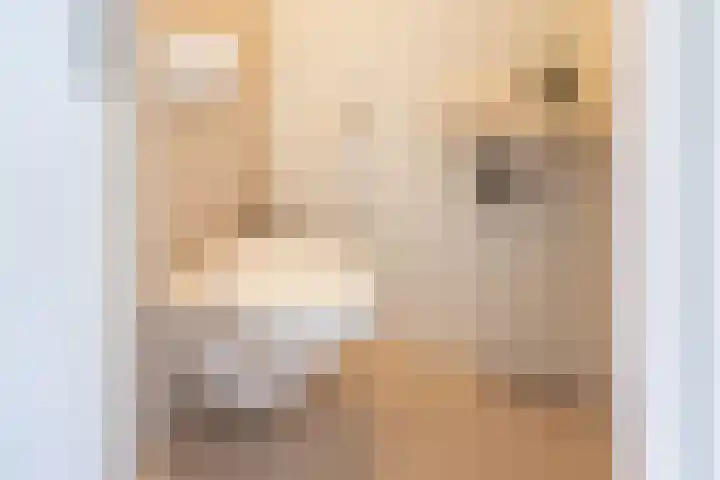 Hogeweg 2 F Ulft thumbnail 8