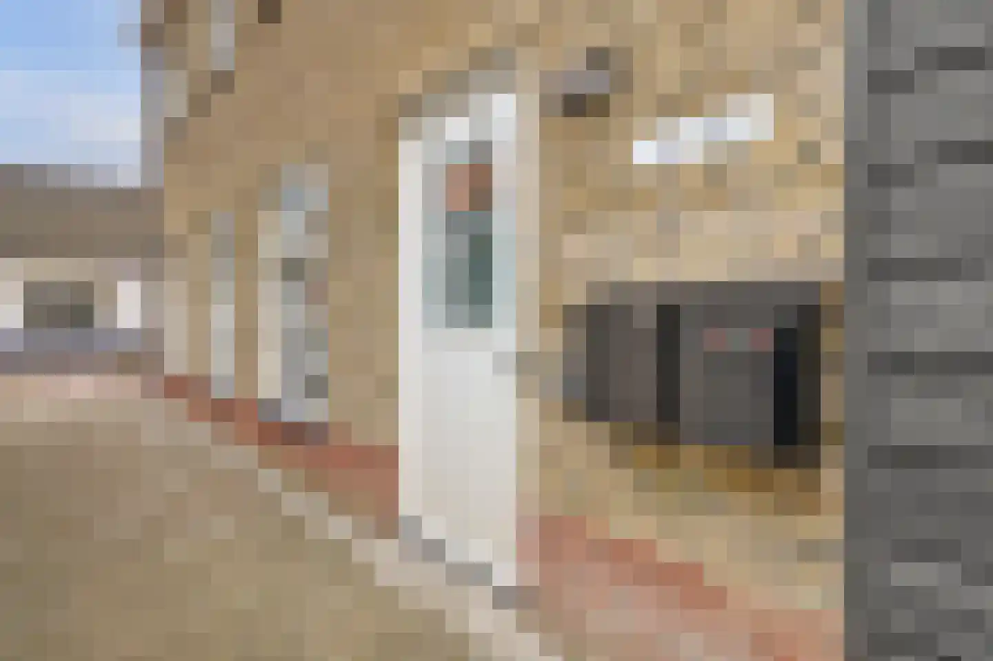Hogeweg 2 j Simonshaven thumbnail 27