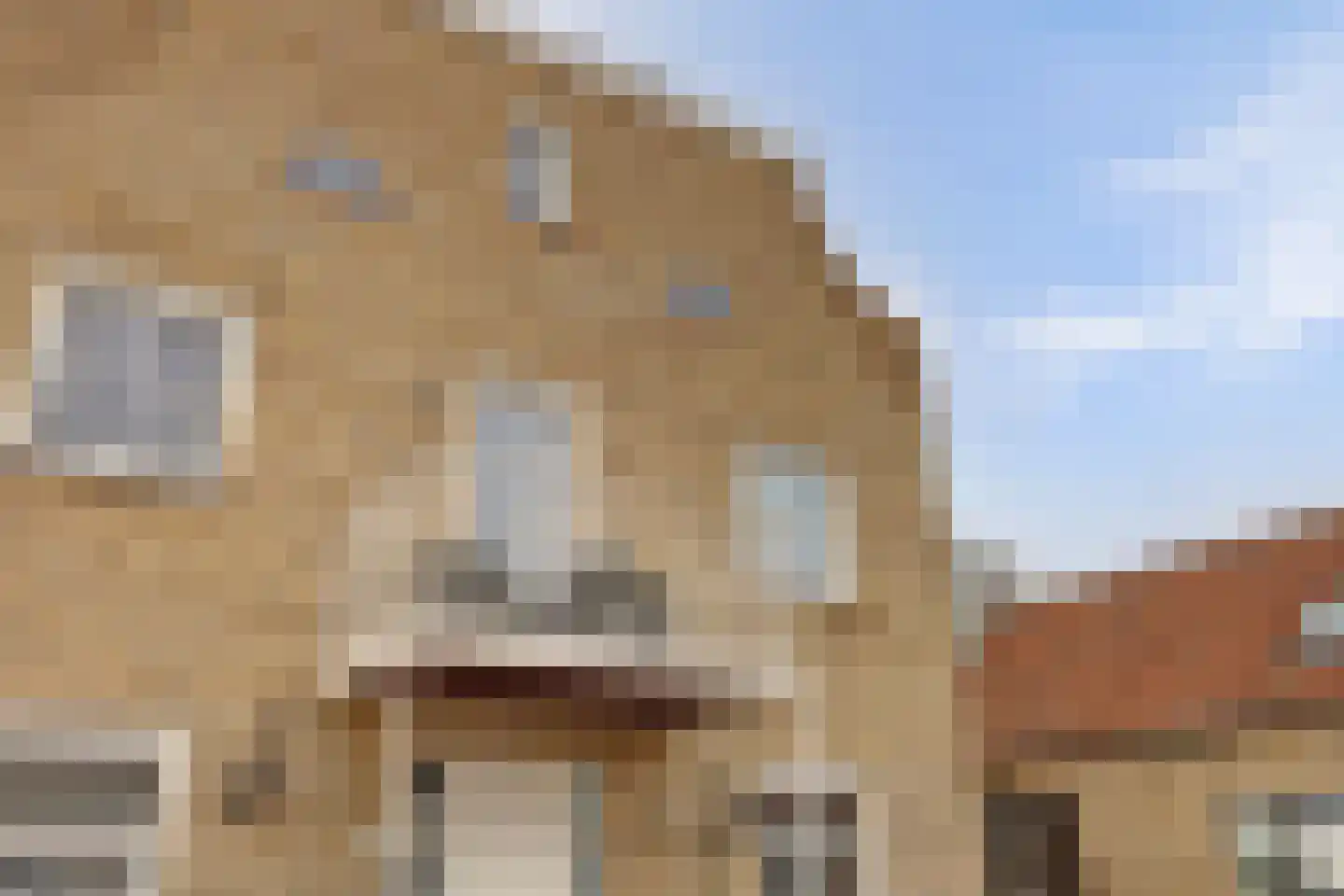 Hogeweg 2 j Simonshaven thumbnail 28