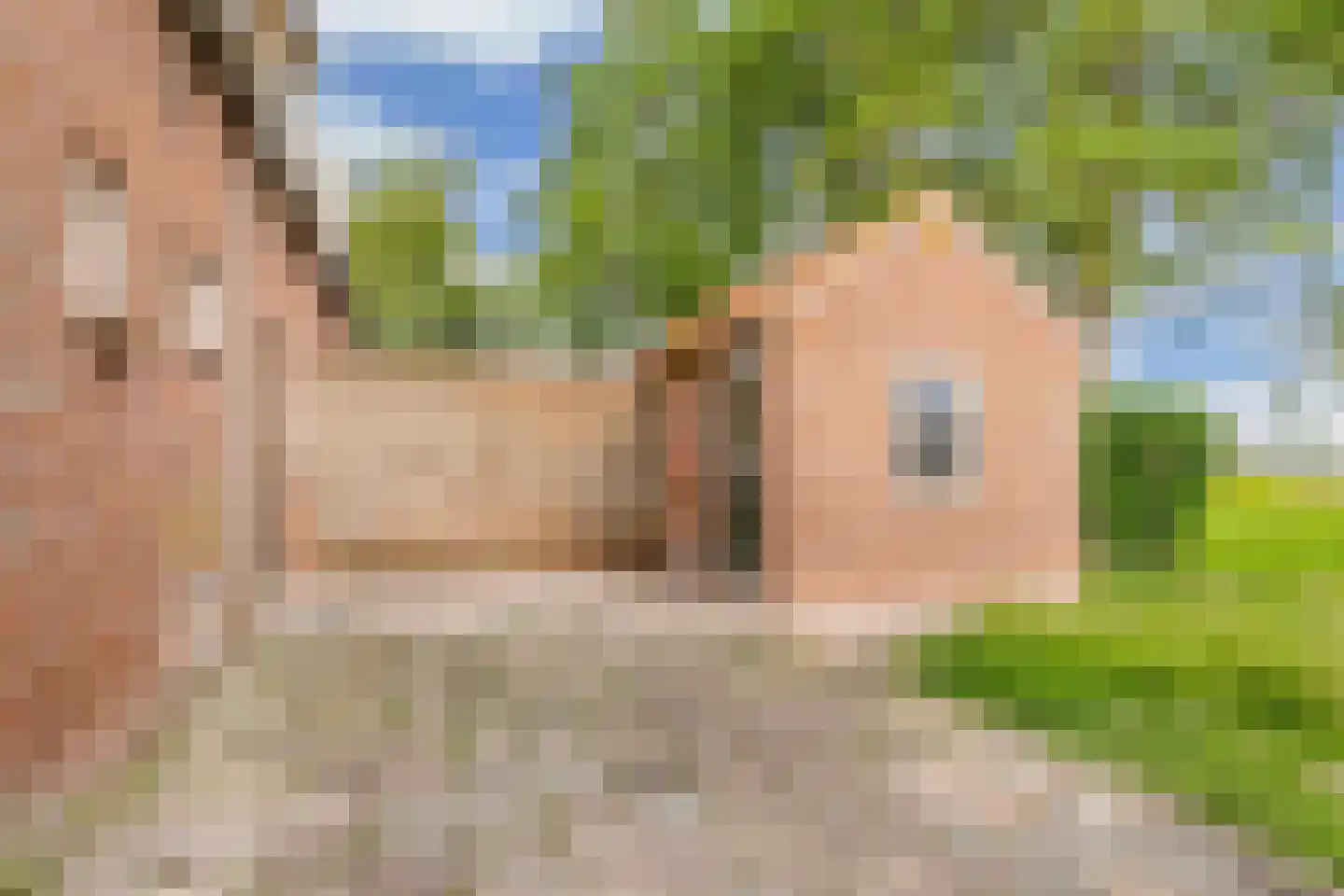 Hogeweg 2 Oldelamer thumbnail 22