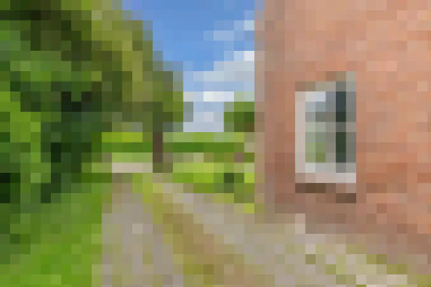 Hogeweg 2 Oldelamer thumbnail 4