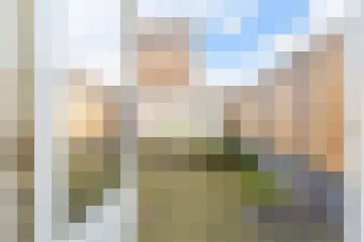 Hogeweg 22 c Sint-Maartensdijk thumbnail 41