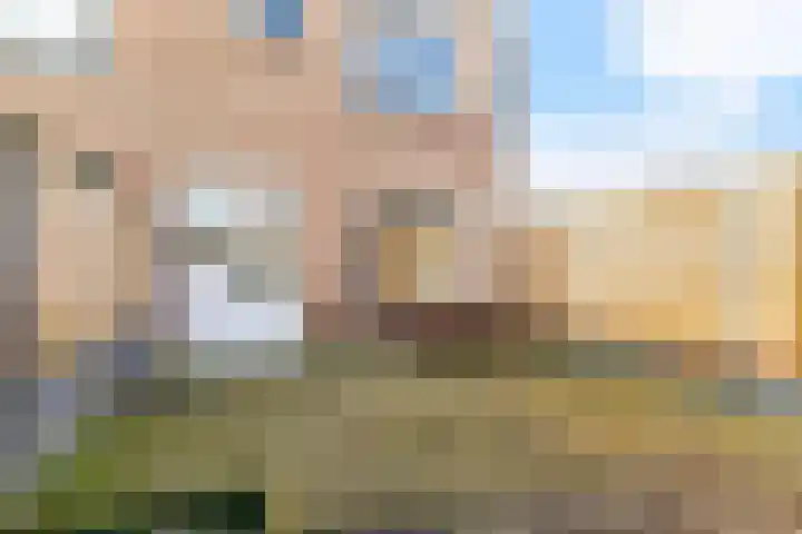 Hogeweg 22 c Sint-Maartensdijk thumbnail 44