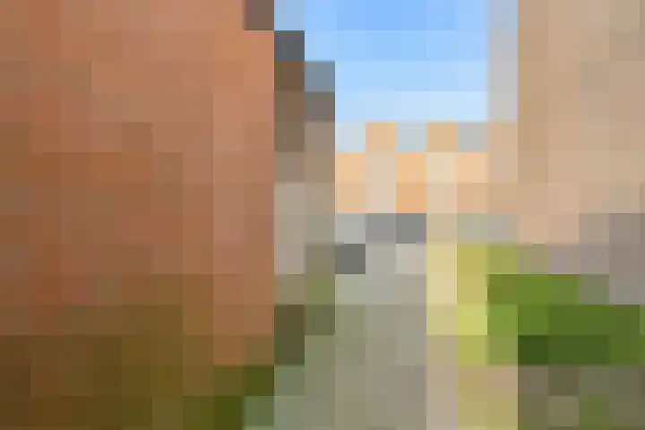 Hogeweg 22 c Sint-Maartensdijk thumbnail 46