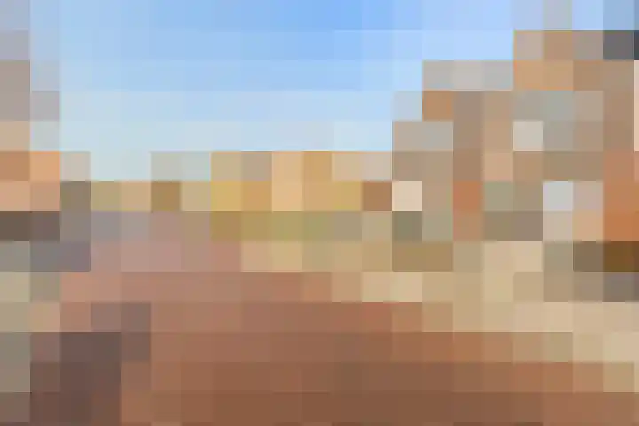 Hogeweg 22 c Sint-Maartensdijk thumbnail 47