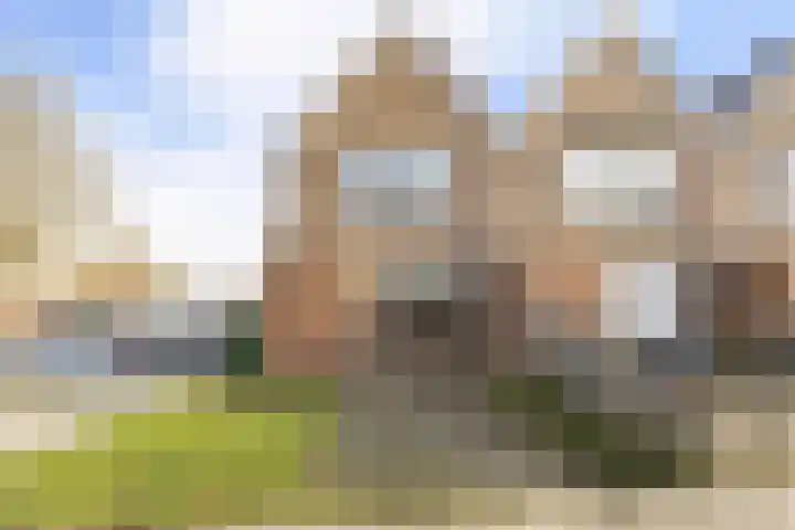 Hogeweg 22 c Sint-Maartensdijk thumbnail 48