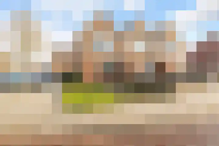 Hogeweg 22 c Sint-Maartensdijk thumbnail 57