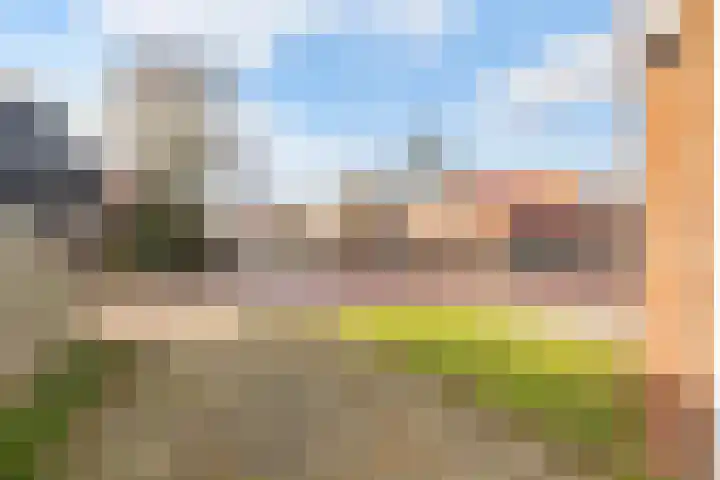 Hogeweg 22 c Sint-Maartensdijk thumbnail 7