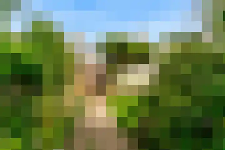 Hogeweg 22 Limmen thumbnail 38