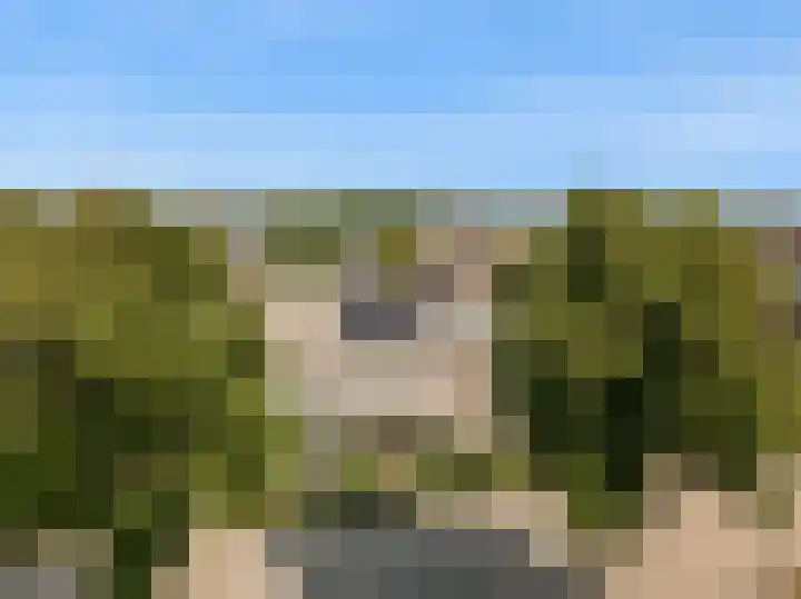 Hogeweg 22 Limmen thumbnail 44