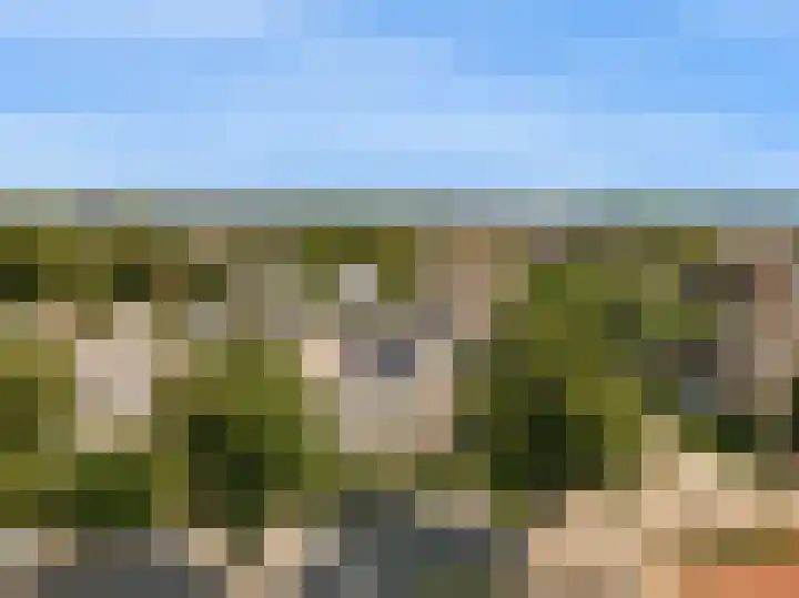 Hogeweg 22 Limmen thumbnail 45