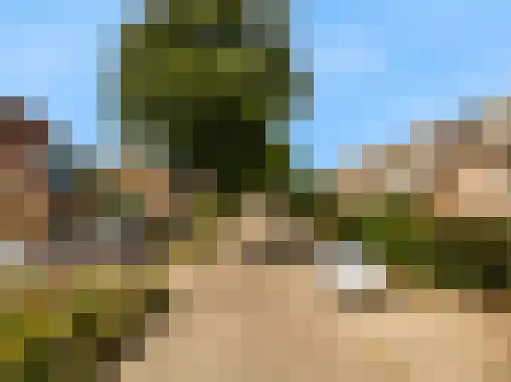 Hogeweg 22 Limmen thumbnail 46