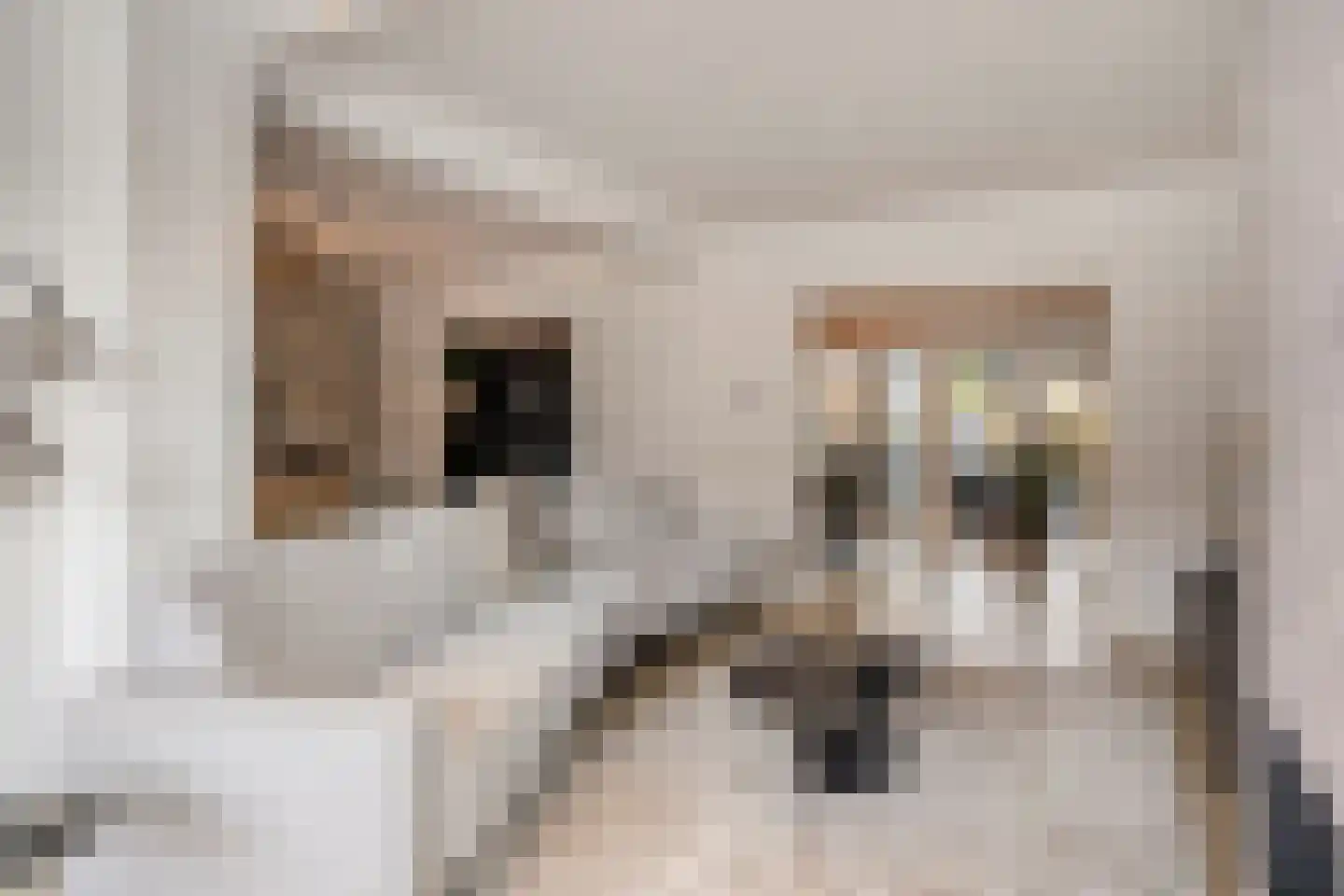 Hogeweg 23 Gronsveld thumbnail 10