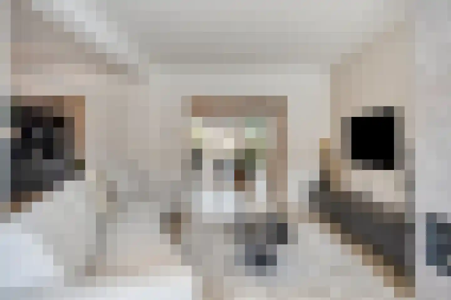 Hogeweg 23 Gronsveld thumbnail 12
