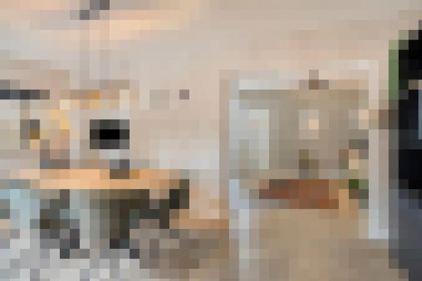 Hogeweg 23 Gronsveld thumbnail 16
