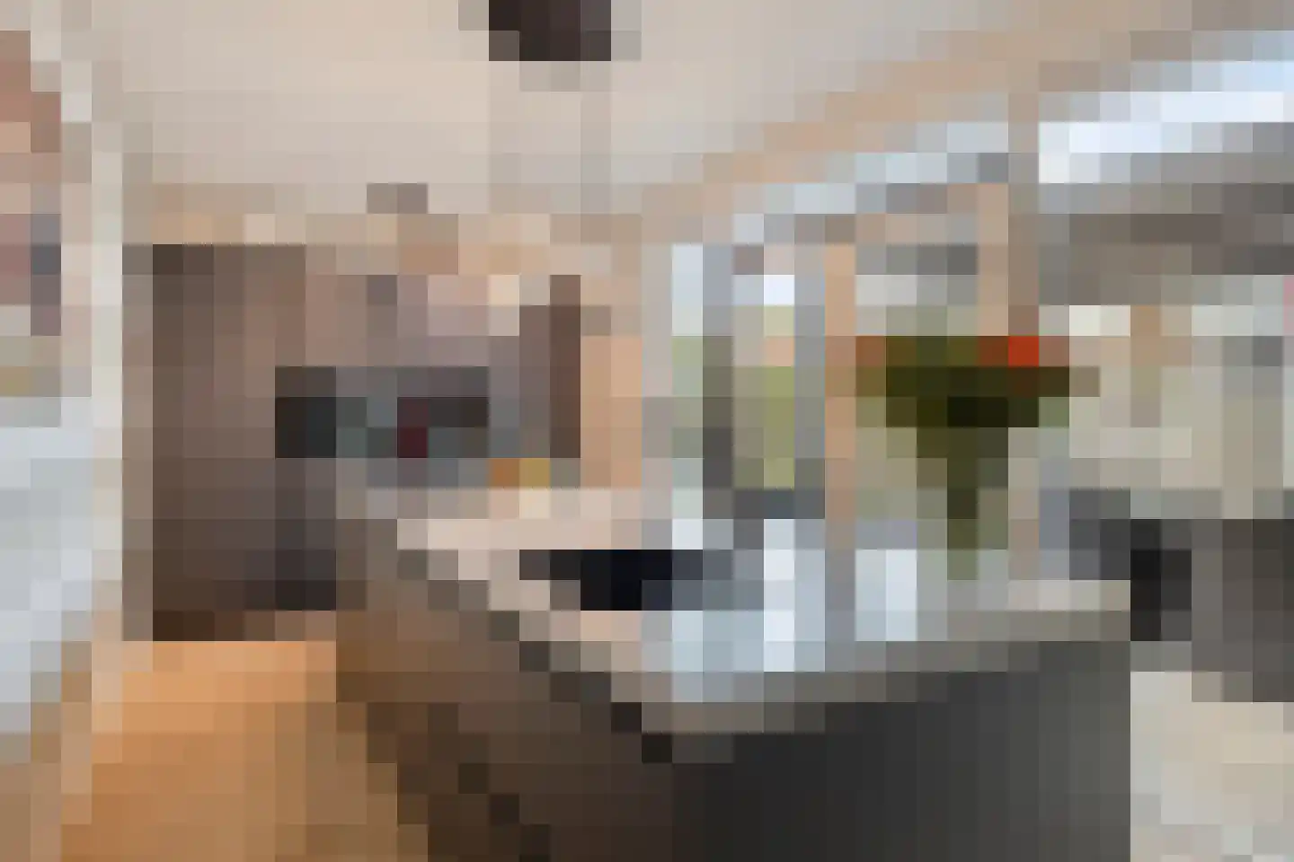 Hogeweg 23 Gronsveld thumbnail 18