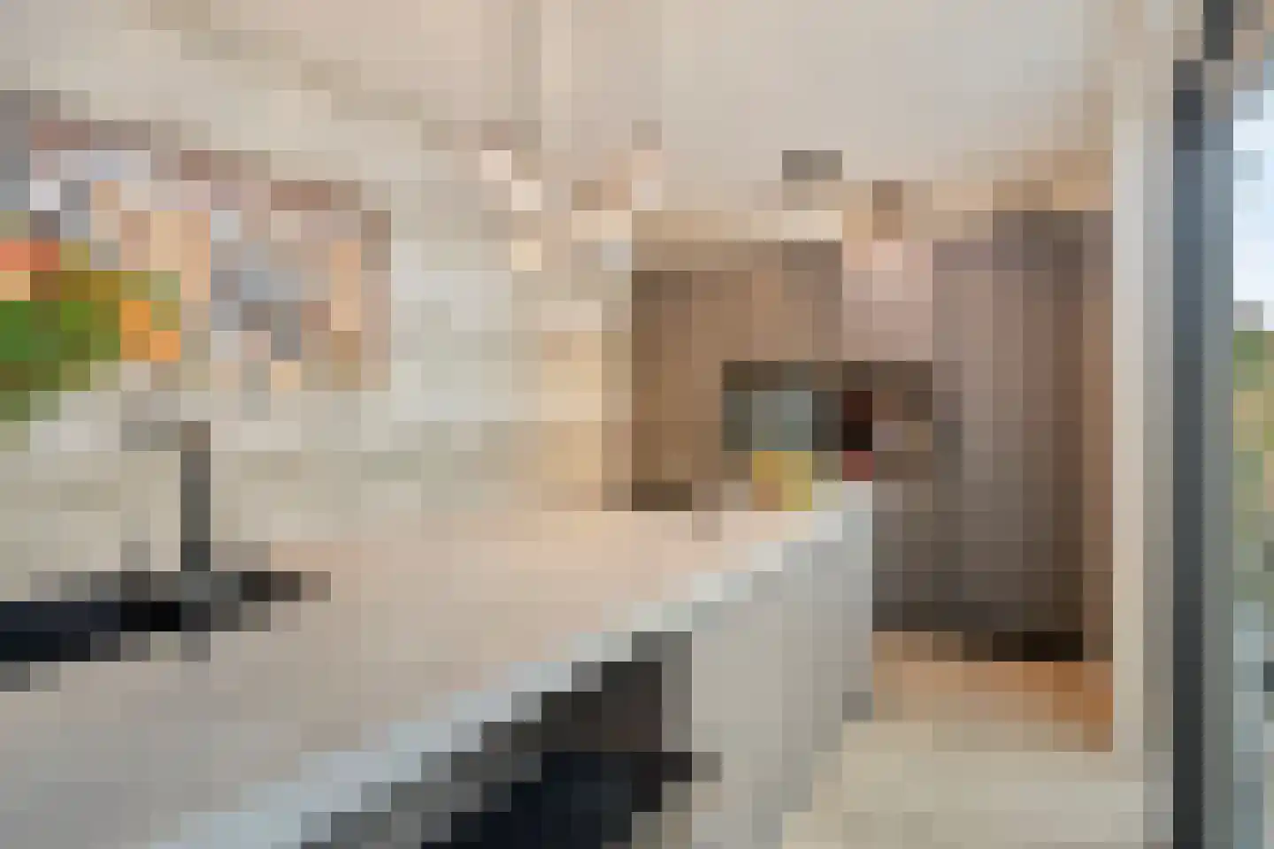 Hogeweg 23 Gronsveld thumbnail 20