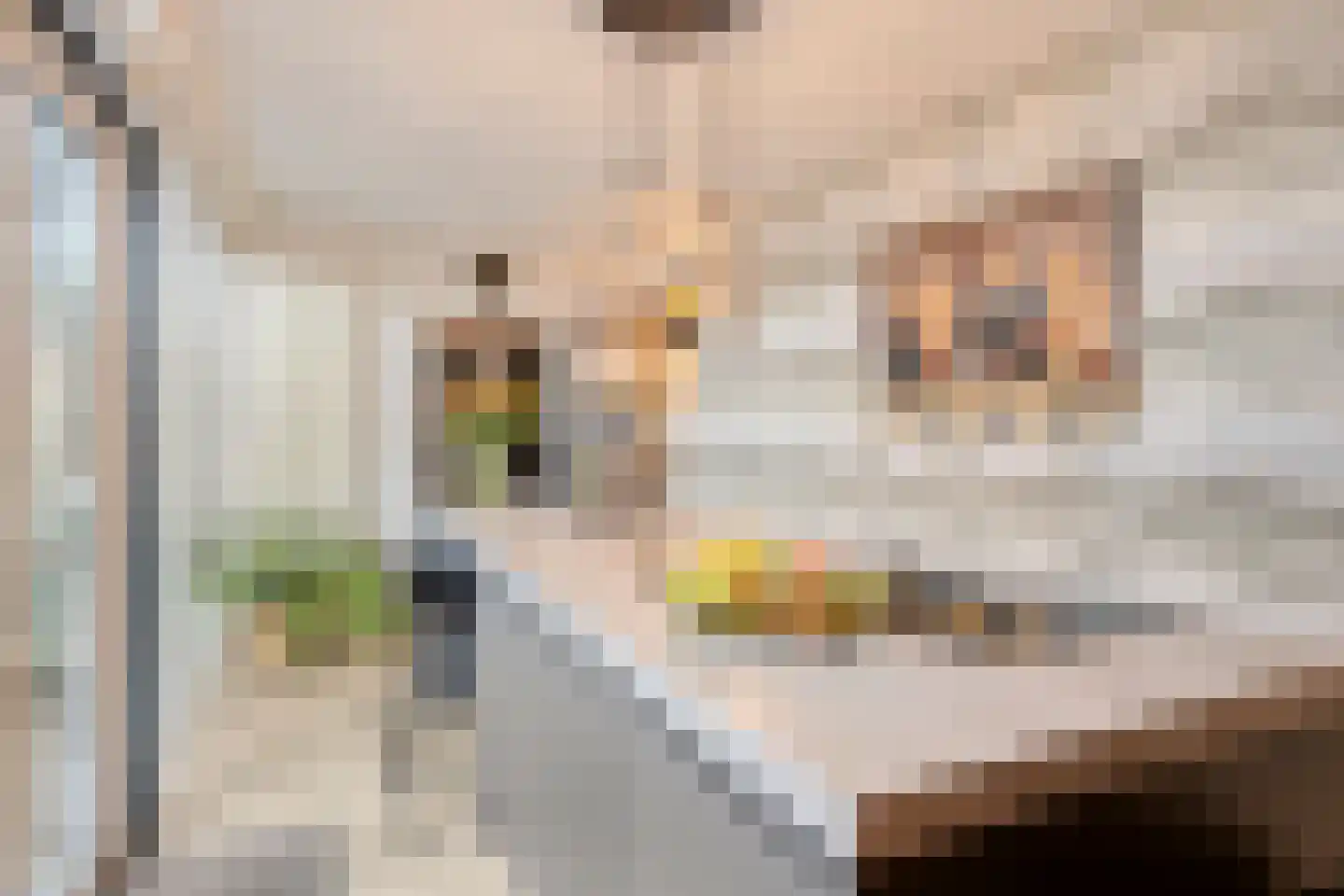 Hogeweg 23 Gronsveld thumbnail 24