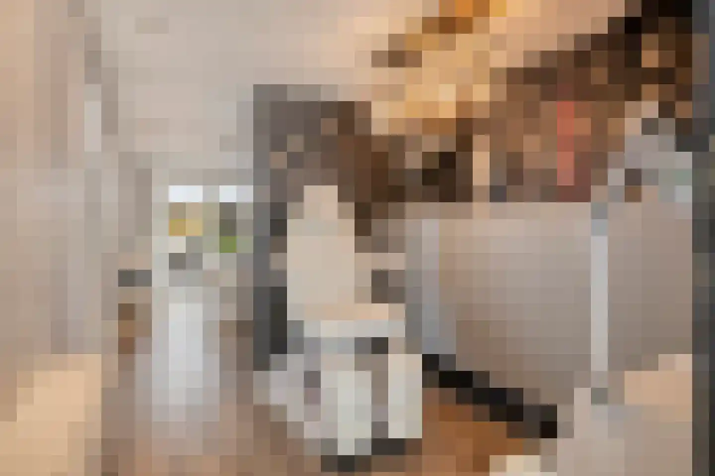 Hogeweg 23 Gronsveld thumbnail 36