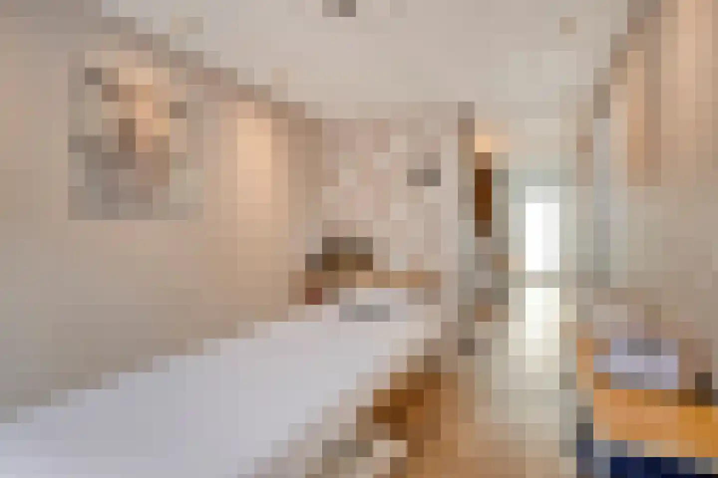 Hogeweg 23 Gronsveld thumbnail 39