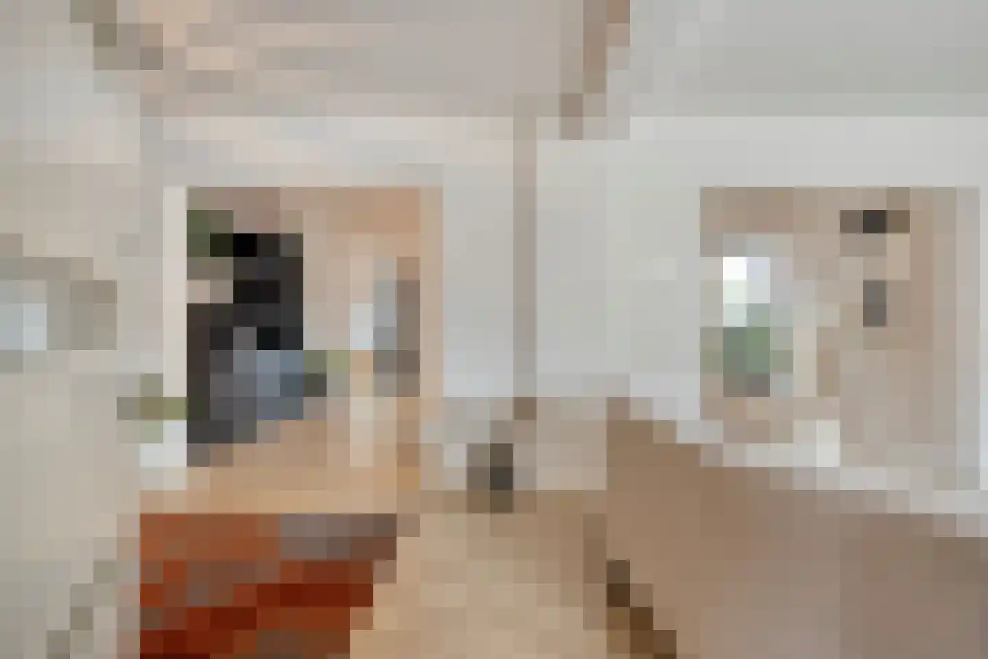 Hogeweg 23 Gronsveld thumbnail 5