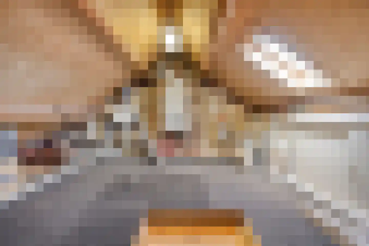 Hogeweg 23 Gronsveld thumbnail 50