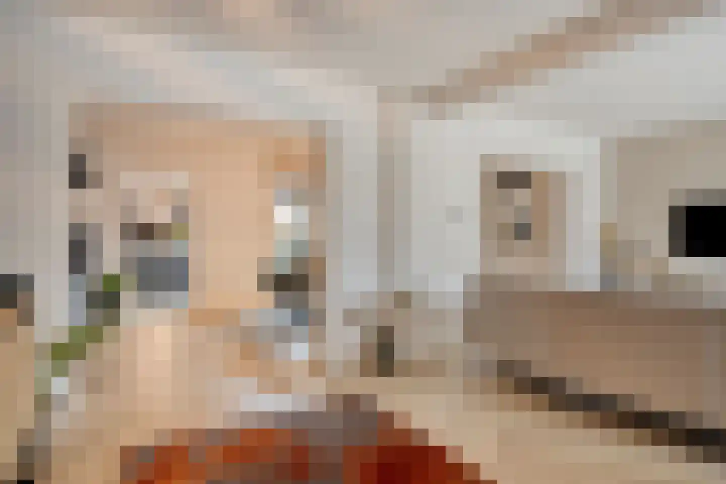 Hogeweg 23 Gronsveld thumbnail 6