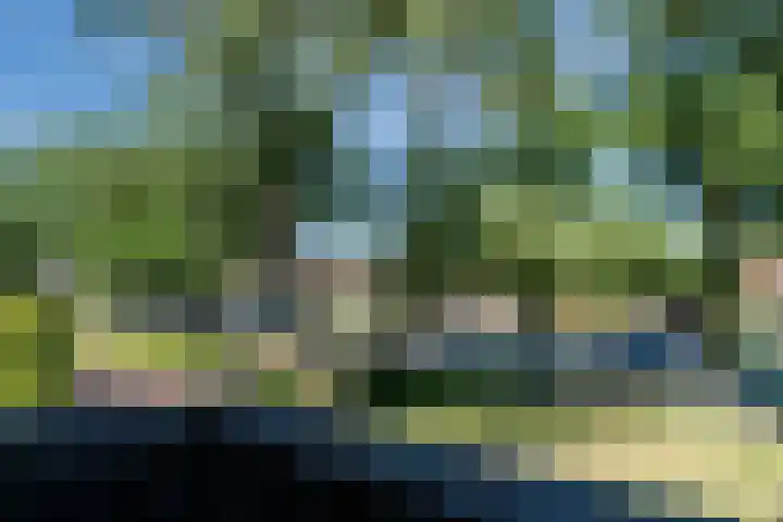 Hogeweg 23 Katwijk thumbnail 32
