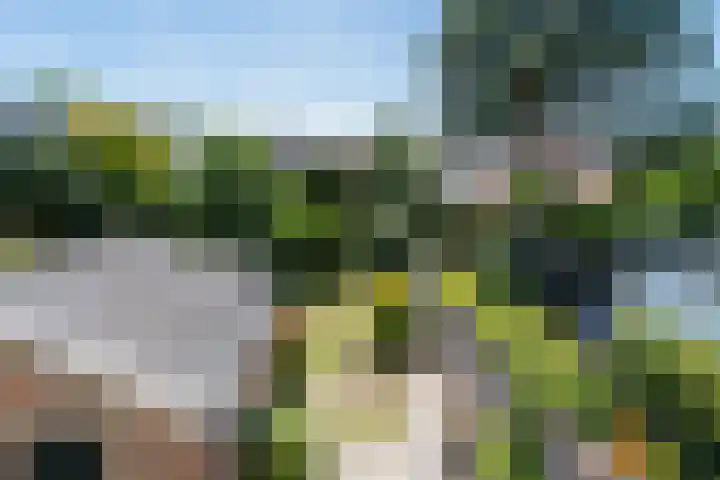 Hogeweg 23 Katwijk thumbnail 34